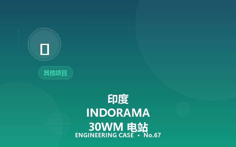 印度 INDORAMA 30WM 电站